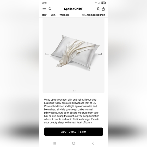 Spoiled Child Pure Silk Queen Sz Pillowcases NIB - Picture 4 of 5